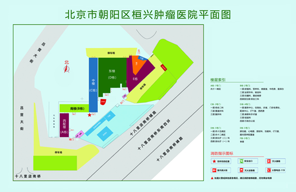 肏你视屏北京市朝阳区桓兴肿瘤医院平面图